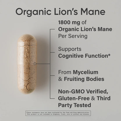 Organic Lion’s Mane