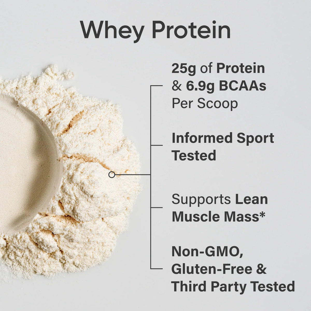 Whey Protein Isolate - Unflavored