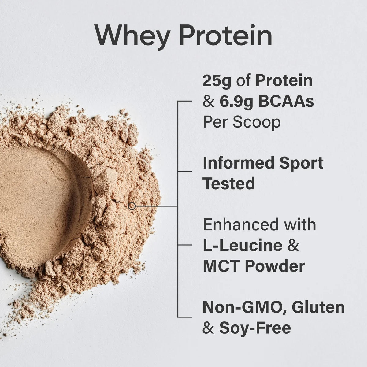 Whey Protein Isolate - Dutch Chocolate