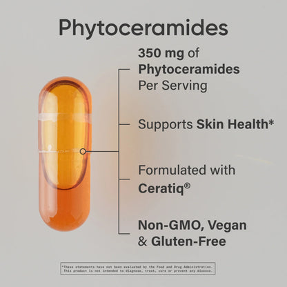 Phytoceramides Skin Hydration